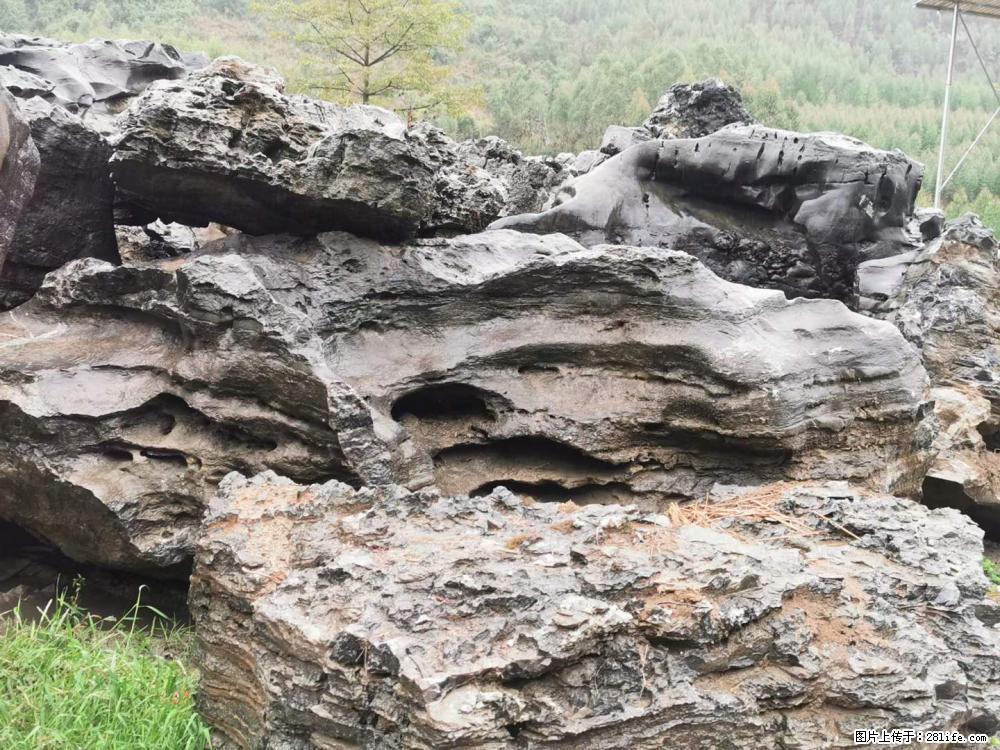 风景石、假山石大量有货，有需要的欢迎联系 - 新手上路 - 金华生活社区 - 金华28生活网 jh.28life.net