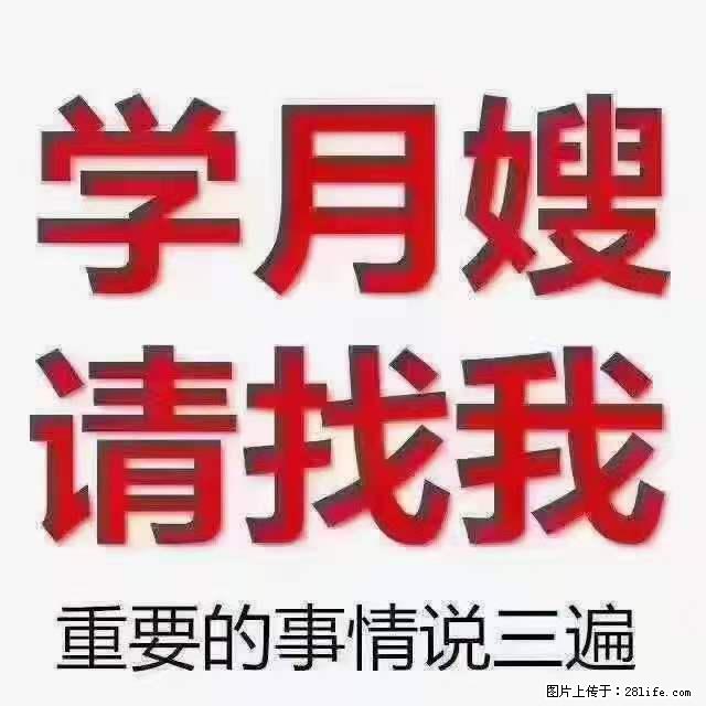 为什么要学习月嫂，育婴师？ - 其他广告 - 广告专区 - 金华分类信息 - 金华28生活网 jh.28life.net