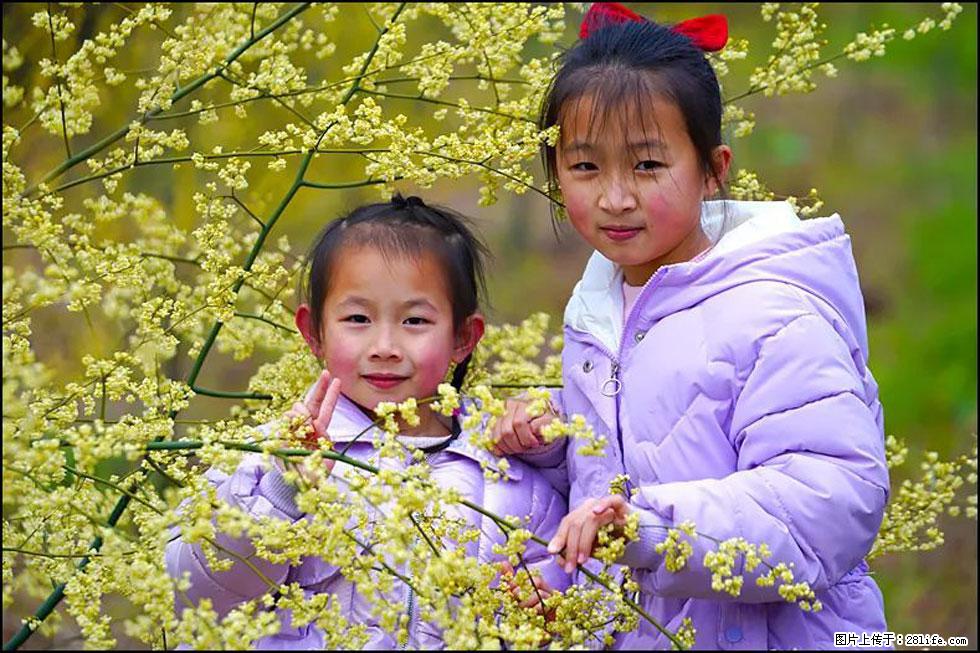 【春天，广西桂林灌阳县向您发出邀请！】米珠山前有片山苍子花在飘香 - 游山玩水 - 金华生活社区 - 金华28生活网 jh.28life.net