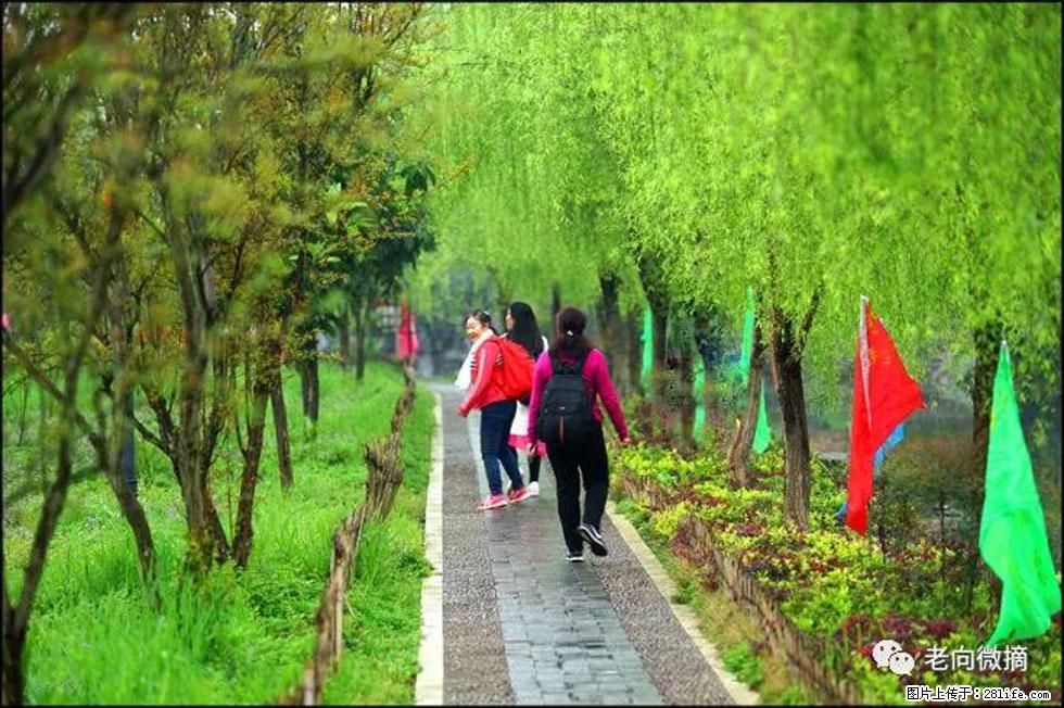 【春天，广西桂林灌阳县向您发出邀请！】江口老街又逢春 - 游山玩水 - 金华生活社区 - 金华28生活网 jh.28life.net