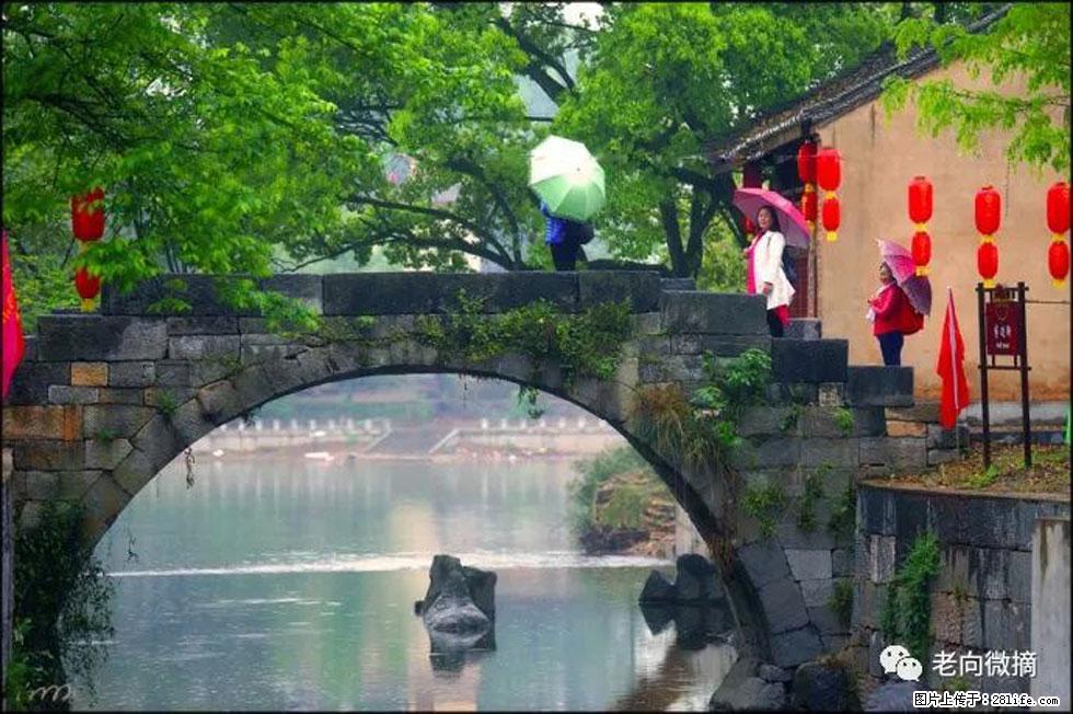 【春天，广西桂林灌阳县向您发出邀请！】江口老街又逢春 - 游山玩水 - 金华生活社区 - 金华28生活网 jh.28life.net