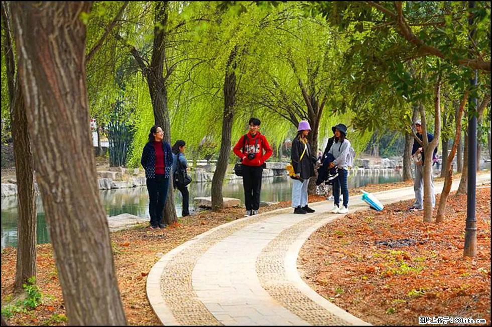 【春天，广西桂林灌阳县向您发出邀请！】江口老街又逢春 - 游山玩水 - 金华生活社区 - 金华28生活网 jh.28life.net