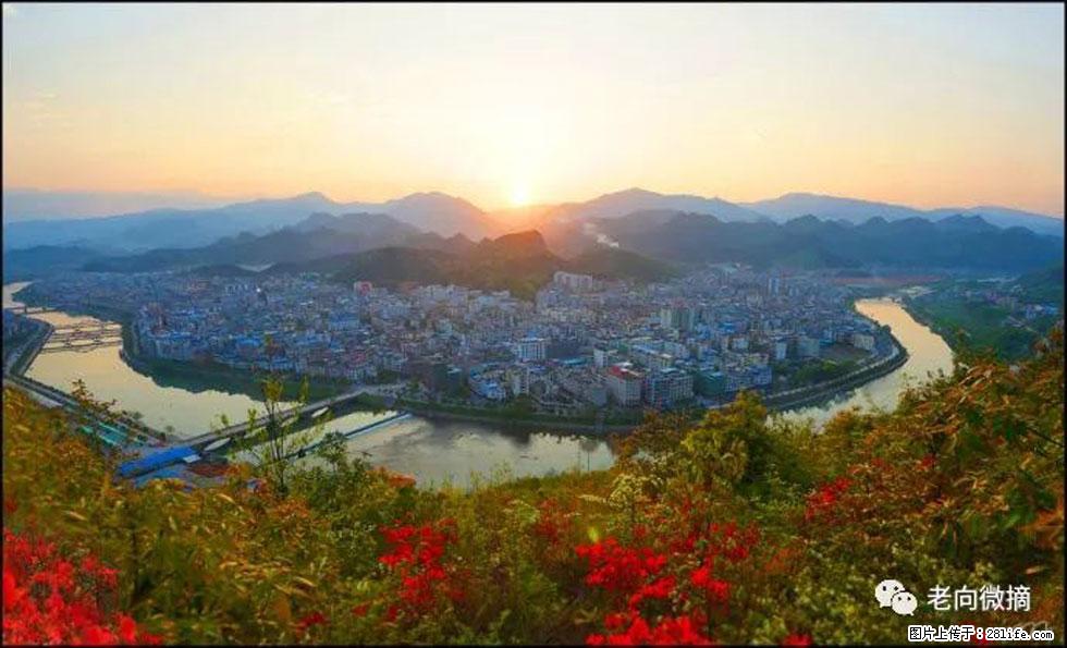 【春天，广西桂林灌阳县向您发出邀请！】登麒麟山，相约映山红 - 游山玩水 - 金华生活社区 - 金华28生活网 jh.28life.net