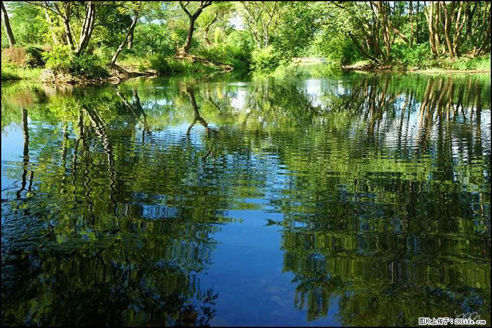【春天，广西桂林灌阳县向您发出邀请！】熊家寨湿地公园 - 游山玩水 - 金华生活社区 - 金华28生活网 jh.28life.net