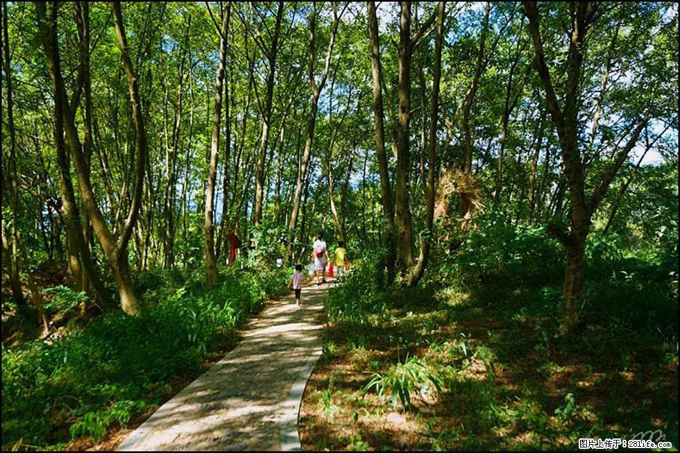【春天，广西桂林灌阳县向您发出邀请！】熊家寨湿地公园 - 游山玩水 - 金华生活社区 - 金华28生活网 jh.28life.net
