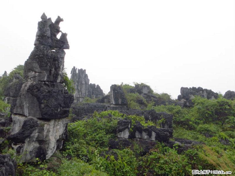 桂林旅游名城景点：灌阳文市石林 - 游山玩水 - 金华生活社区 - 金华28生活网 jh.28life.net