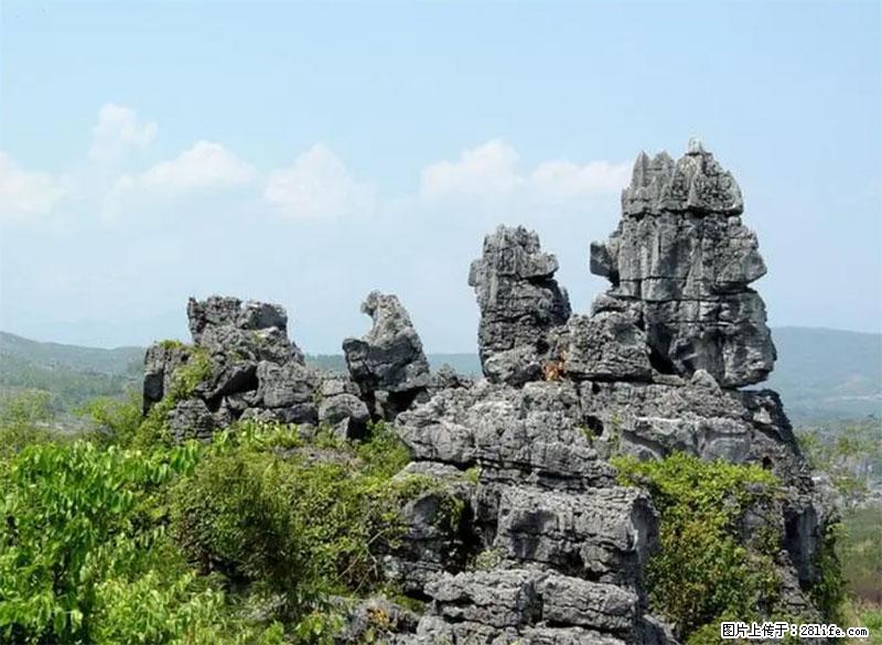 桂林旅游名城景点：灌阳文市石林 - 游山玩水 - 金华生活社区 - 金华28生活网 jh.28life.net
