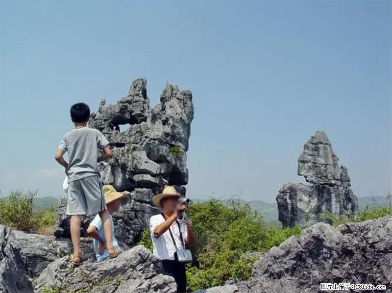 桂林旅游名城景点：灌阳文市石林 - 游山玩水 - 金华生活社区 - 金华28生活网 jh.28life.net