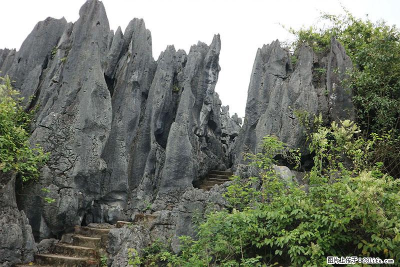 桂林旅游名城景点：灌阳文市石林 - 游山玩水 - 金华生活社区 - 金华28生活网 jh.28life.net