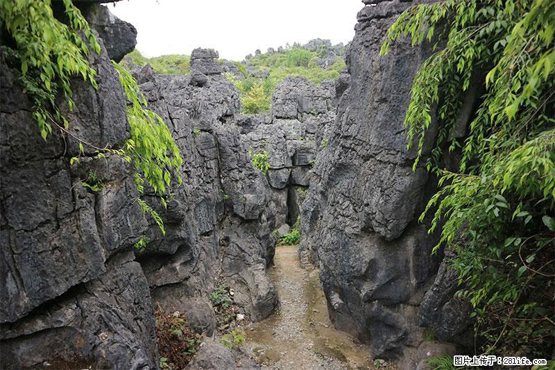 桂林旅游名城景点：灌阳文市石林 - 游山玩水 - 金华生活社区 - 金华28生活网 jh.28life.net