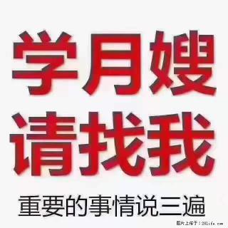 为什么要学习月嫂，育婴师？ - 金华28生活网 jh.28life.net