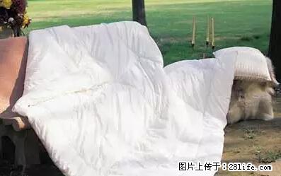 被子有异味？只要这样做，比晒太阳还强100倍！ - 家居生活 - 金华生活社区 - 金华28生活网 jh.28life.net