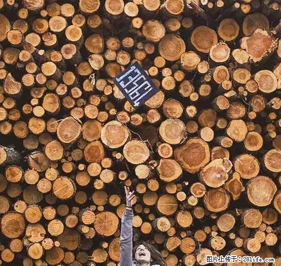辞掉工作周游世界？现在他们在洗厕所…… - 游山玩水 - 金华生活社区 - 金华28生活网 jh.28life.net