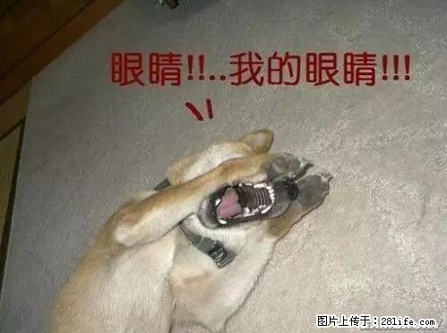 笑癫了！一女的怀孕三年未生，他终于忍不住了... - 娱乐八卦 - 金华生活社区 - 金华28生活网 jh.28life.net