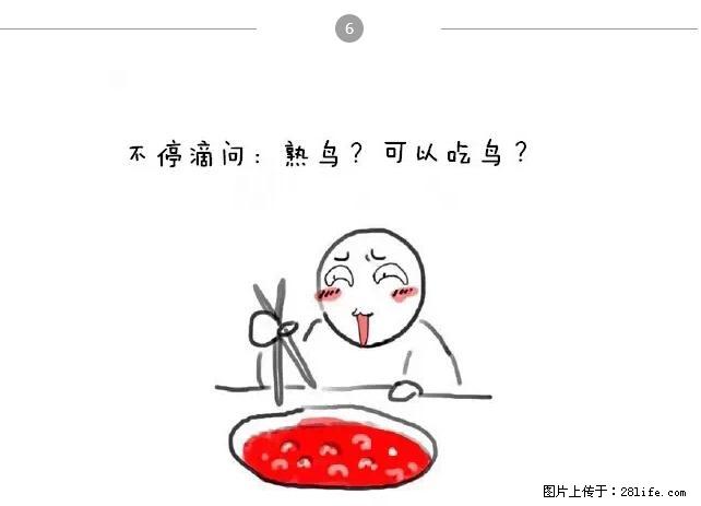 千万不要和这9种哈卵一起吃火锅！ - 美食天地 - 金华生活社区 - 金华28生活网 jh.28life.net