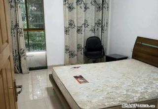 老农贸附近 精装两房加衣帽间 家具齐全 拎包入住随时看房 - 金华28生活网 jh.28life.net