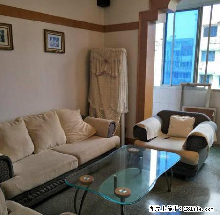 东苑小学对面工商城附近金信花园精致三房出租 - 房屋出租 - 房屋租售 - 金华分类信息 - 金华28生活网 jh.28life.net