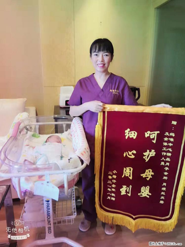 上海高端月子会所招新手月嫂，零基础带教，包吃住 - 职场交流 - 金华生活社区 - 金华28生活网 jh.28life.net
