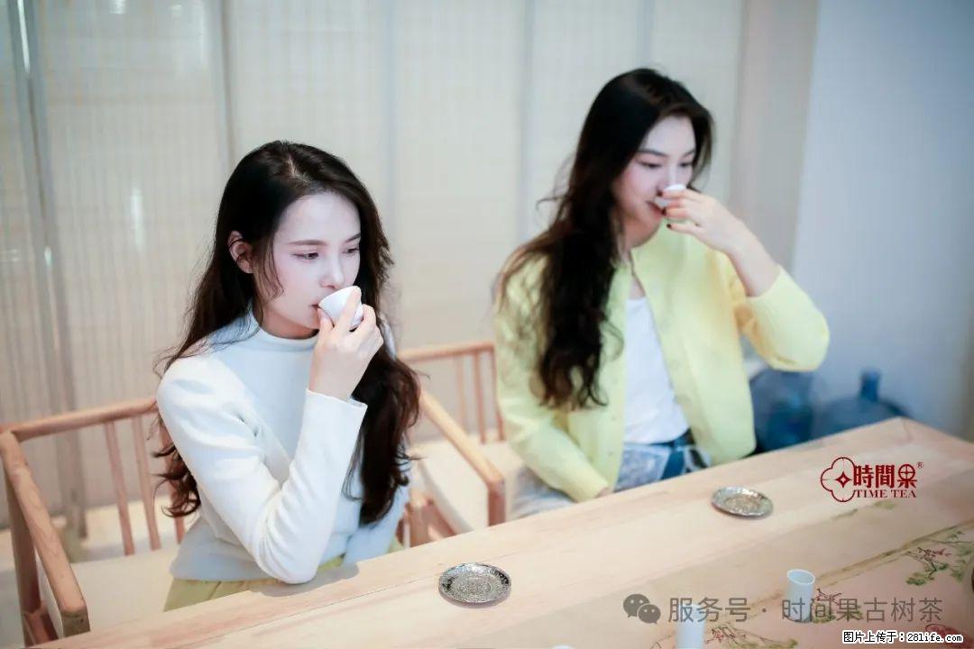 时间果百年古树龙珠普洱生茶 - 购物交流 - 金华生活社区 - 金华28生活网 jh.28life.net