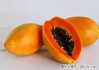 晕车、脚气、牙齿变黄、皮肤粗糙？学会这些三分钟搞定！ - 金华生活资讯 - 金华28生活网 jh.28life.net
