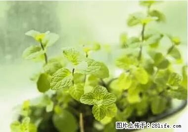 晕车、脚气、牙齿变黄、皮肤粗糙？学会这些三分钟搞定！ - 金华生活资讯 - 金华28生活网 jh.28life.net