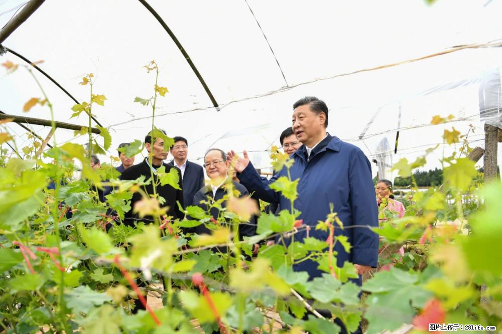 习近平赴广西考察调研 - 金华生活资讯 - 金华28生活网 jh.28life.net