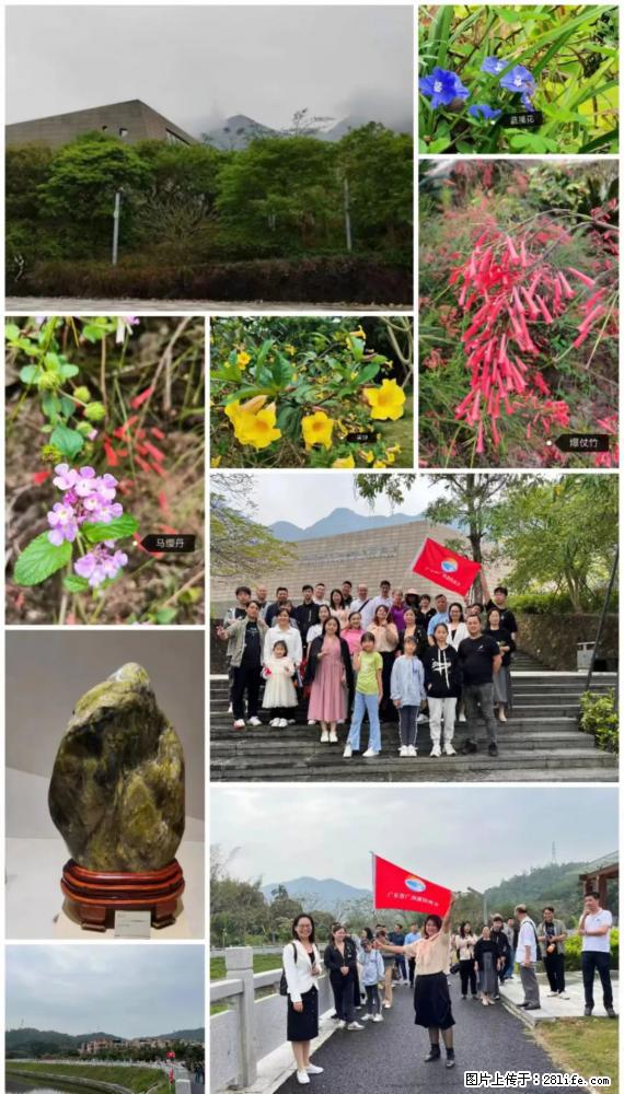 “粤灌文化 美好生活”油茶文化主题活动在广东深圳成功举办 - 金华生活资讯 - 金华28生活网 jh.28life.net