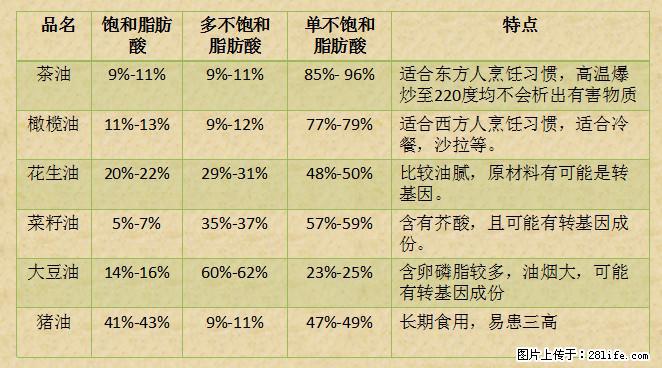 揭秘茶油的5大核心营养成分！被称为人体健康的“守护盾”！ - 金华生活资讯 - 金华28生活网 jh.28life.net