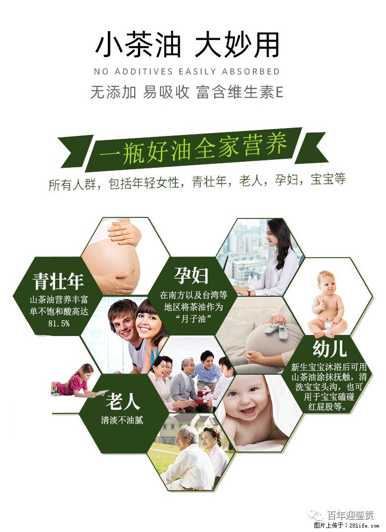 世界没有真相，只有认知，最好的食用油是中国的山茶油！ - 金华生活资讯 - 金华28生活网 jh.28life.net