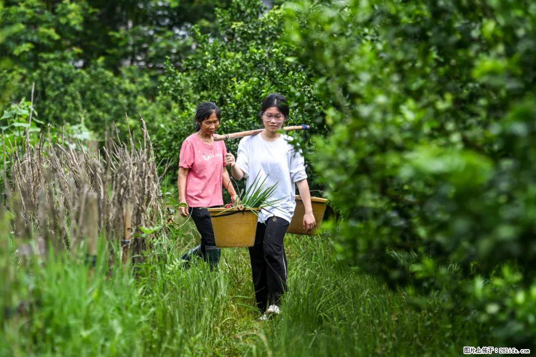 全网追的“扁担女孩”，找了一份暑假工，时薪12元 - 金华生活资讯 - 金华28生活网 jh.28life.net