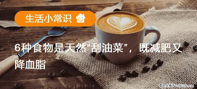 【生活小常识】6种食物是天然“刮油菜”，既减肥又降血脂 - 金华生活资讯 - 金华28生活网 jh.28life.net