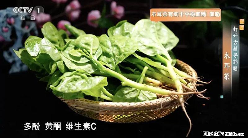 比牛奶补钙还厉害！凉血解毒、稳血糖...这菜冬天必吃，很多人却当草 - 金华生活资讯 - 金华28生活网 jh.28life.net