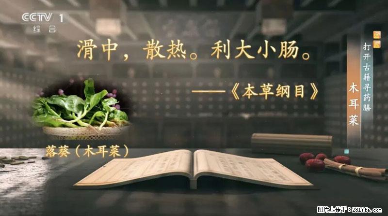 比牛奶补钙还厉害！凉血解毒、稳血糖...这菜冬天必吃，很多人却当草 - 金华生活资讯 - 金华28生活网 jh.28life.net