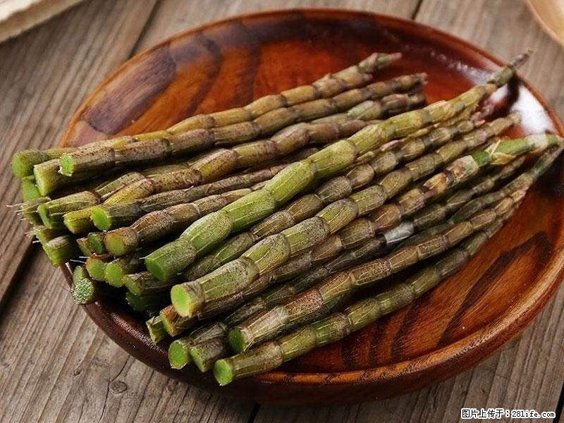 铁皮石斛的作用与功能主治 - 金华生活资讯 - 金华28生活网 jh.28life.net