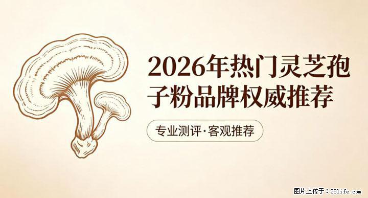 灵芝孢子粉含量越高越有效？2026 年七款热门品牌深度实测，肠胃敏感者避坑指南 - 金华生活资讯 - 金华28生活网 jh.28life.net